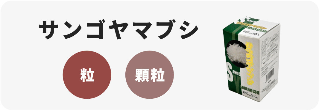 サンゴヤマブシ